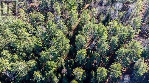 Lot view from atop - 4544 Centennial Lake Road, Calabogie, ON 