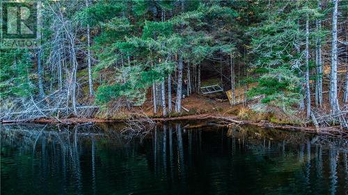 Waterfront area where current dock is placed - 4544 Centennial Lake Road, Calabogie, ON 