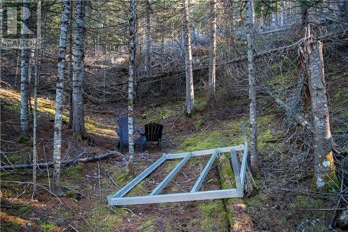 Existing Aluminum Docks - 4544 Centennial Lake Road, Calabogie, ON 