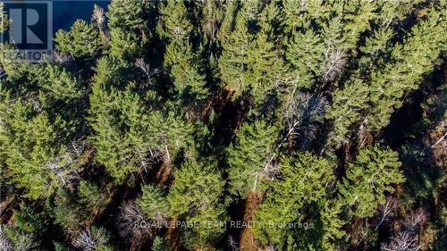 4544 Centennial Lake Road, Greater Madawaska, ON 