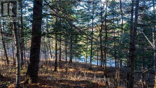 4544 Centennial Lake Road, Greater Madawaska, ON 