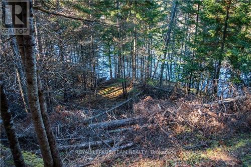 4544 Centennial Lake Road, Greater Madawaska, ON 