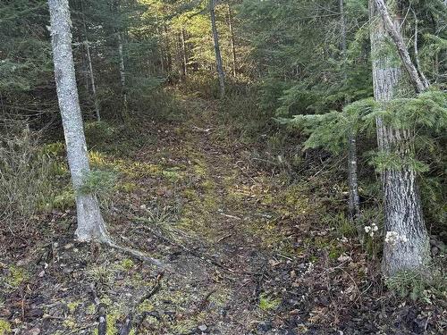 3325 Kam Current Road, Thunder Bay ( Kaministiquia ), ON - Outdoor With View