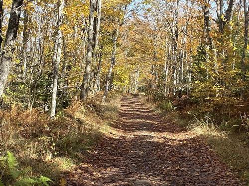 Cove Road, Watervale, NS 