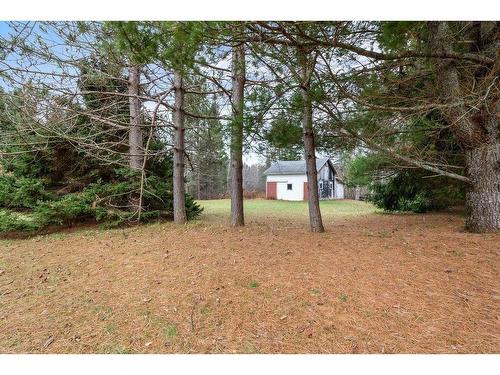 686 Highway 204, Brookdale, NS 