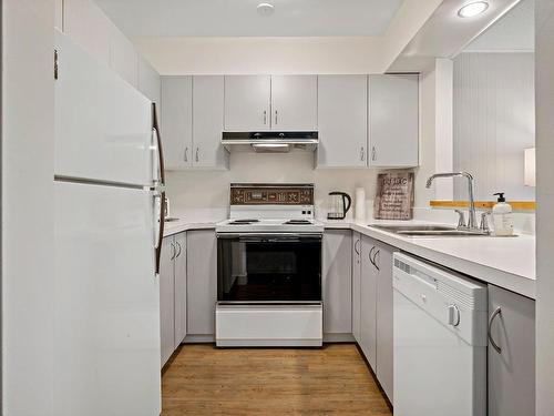 Cuisine - 481-211 Ch. De Lac-Tremblant-Nord, Mont-Tremblant, QC - Indoor Photo Showing Kitchen With Double Sink