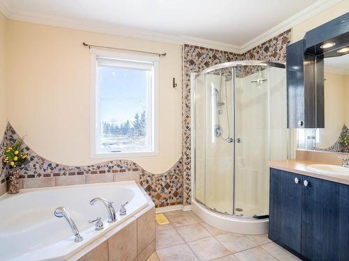 Salle de bains - 1285 Rue Notre-Dame, Repentigny (Repentigny), QC - Indoor Photo Showing Bathroom