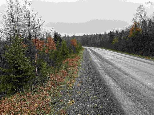 Dunakym Road, Dunakin, NS 