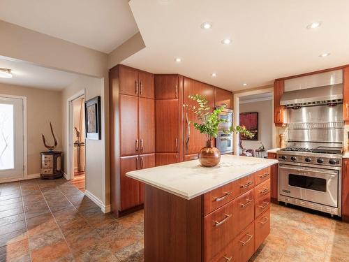 Cuisine - 3045 Rue Michaud, Brossard, QC - Indoor Photo Showing Kitchen