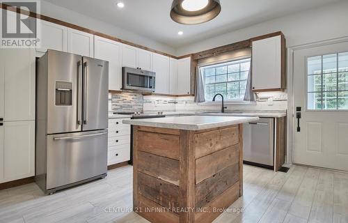 7222 Hwy 35, Kawartha Lakes (Coboconk), ON - Indoor Photo Showing Kitchen With Stainless Steel Kitchen