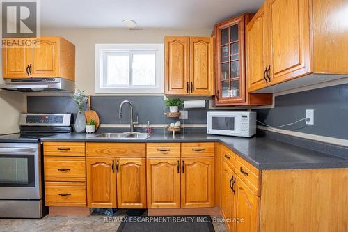 43 Brantwood Park Road, Brantford, ON - Indoor Photo Showing Kitchen With Double Sink