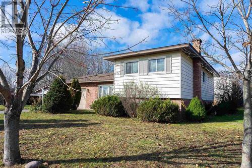 163 Parkland Cres, Sault Ste. Marie, ON - Outdoor