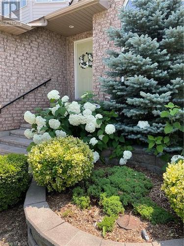 View of doorway to property - 613 Black Street, Fergus, ON - Outdoor