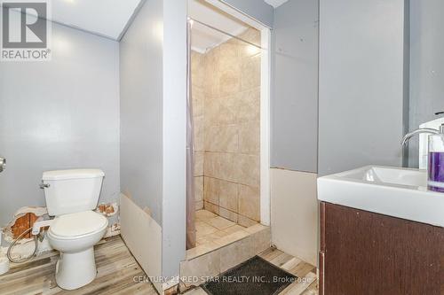 95 Glenmore Crescent, Brampton, ON - Indoor Photo Showing Bathroom