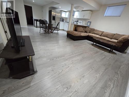 Bsmnt - 74 Pieter Vos Drive, Kitchener, ON - Indoor Photo Showing Living Room