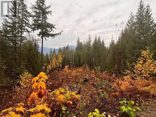 Lot 66 Mchale Place, Eagle Bay, BC 