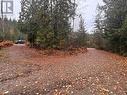 Lot 66 Mchale Place, Eagle Bay, BC 