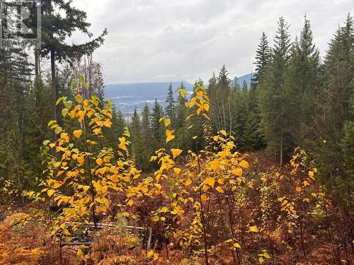 Lot 66 Mchale Place, Eagle Bay, BC 