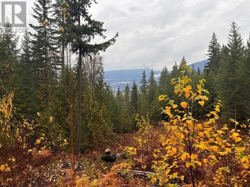 Lot 66 Mchale Place, Eagle Bay, BC 