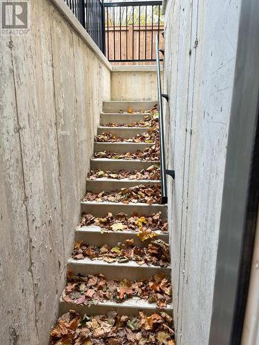 Bsmt - 97 Dell Park Avenue, Toronto, ON - Indoor Photo Showing Other Room