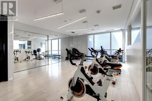 706 - 56 Annie Craig Drive, Toronto, ON - Indoor Photo Showing Gym Room