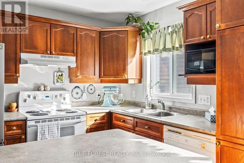 180 Crimson Crescent, London, ON - Indoor Photo Showing Kitchen With Double Sink