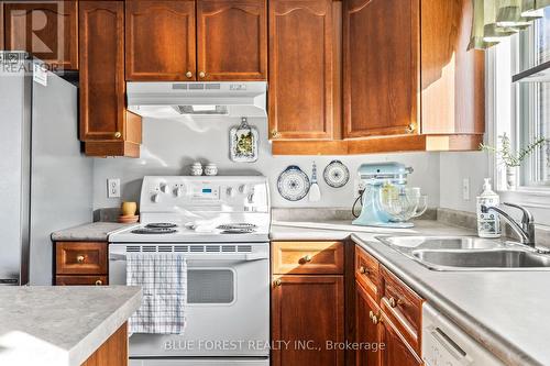 180 Crimson Crescent, London, ON - Indoor Photo Showing Kitchen With Double Sink