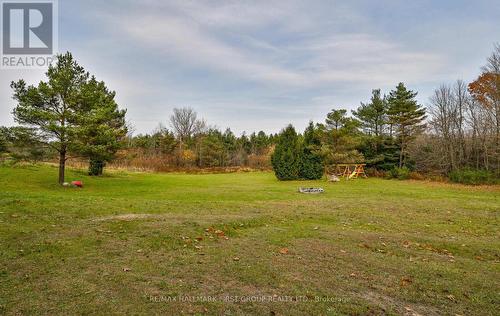 1108 Sandy Hook Road, Kawartha Lakes, ON - Outdoor With View