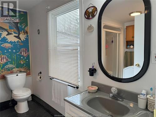 2154 Longfellow Avenue, Windsor, ON - Indoor Photo Showing Bathroom