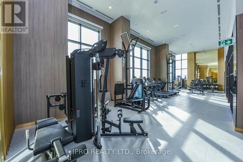 226 - 395 Dundas Street W, Oakville, ON - Indoor Photo Showing Gym Room