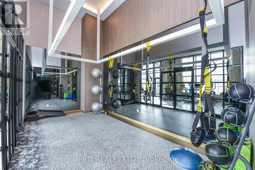 226 - 395 Dundas Street W, Oakville, ON - Indoor Photo Showing Gym Room