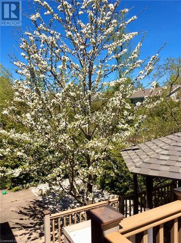 Cherry Tree - 34 Archibald Place, Southampton, ON - Outdoor With View