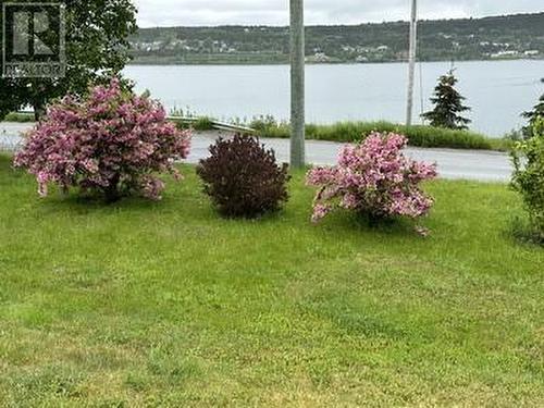 174 Southside Road, Harbour Grace, NL - Outdoor With Body Of Water With View