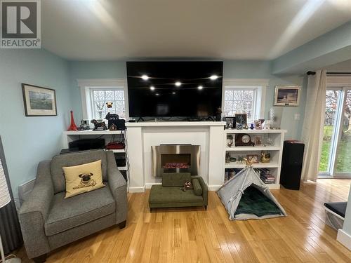 9 Memorial Avenue, Grand Falls-Windsor, NL - Indoor Photo Showing Living Room With Fireplace