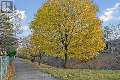 38 - 55 Brimwood Boulevard, Toronto (Agincourt North), ON - Outdoor With View