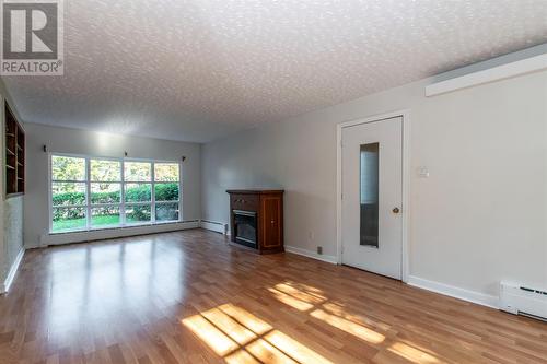 47 Portugal Cove Road, St. John'S, NL - Indoor Photo Showing Living Room