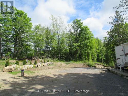 325 Douglas Road W, Centre Hastings, ON - Outdoor