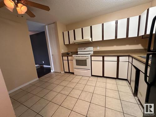 46 Mcleod Pl Nw, Edmonton, AB - Indoor Photo Showing Kitchen