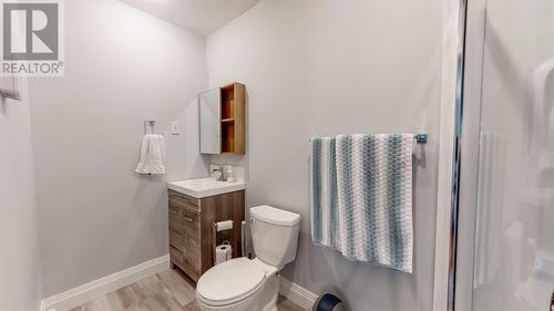 91 Stirling Crescent, St. John'S, NL - Indoor Photo Showing Bathroom