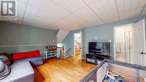 91 Stirling Crescent, St. John'S, NL - Indoor Photo Showing Living Room