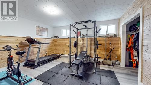 91 Stirling Crescent, St. John'S, NL - Indoor Photo Showing Gym Room