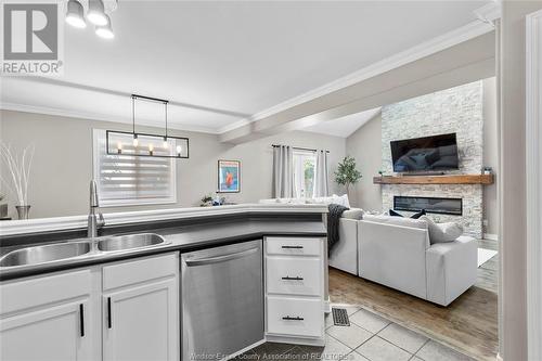 4237 Pearleaf Court, Windsor, ON - Indoor Photo Showing Kitchen With Fireplace With Double Sink