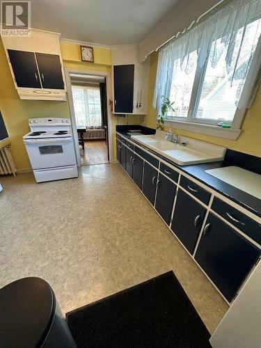 99 Cornwall Avenue, St. John'S, NL - Indoor Photo Showing Kitchen With Double Sink