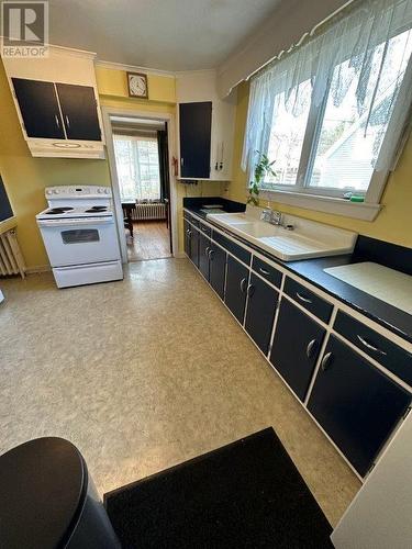 99 Cornwall Avenue, St. John'S, NL - Indoor Photo Showing Kitchen