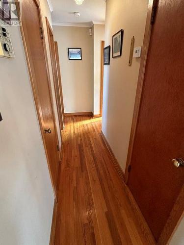 99 Cornwall Avenue, St. John'S, NL - Indoor Photo Showing Other Room