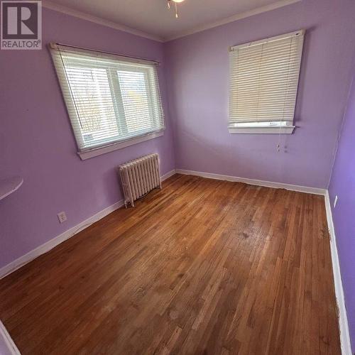 99 Cornwall Avenue, St. John'S, NL - Indoor Photo Showing Other Room