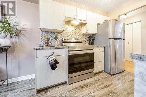 3936 Wyandotte Street East Unit# 709, Windsor, ON - Indoor Photo Showing Kitchen