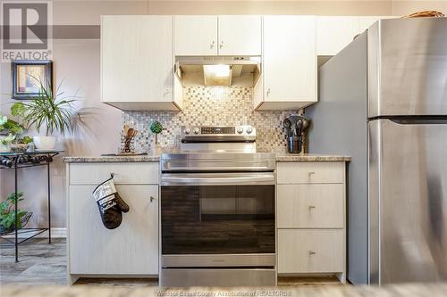 3936 Wyandotte Street East Unit# 709, Windsor, ON - Indoor Photo Showing Kitchen With Upgraded Kitchen