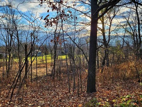 Cour - 108 Route Du Long-Sault, Saint-André-D'Argenteuil, QC - Outdoor With View