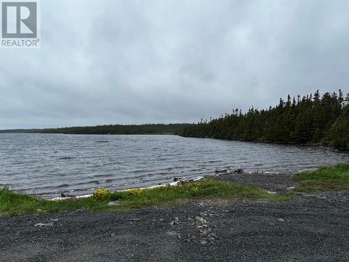 57 Line Road, Carbonear, NL - Outdoor With Body Of Water With View